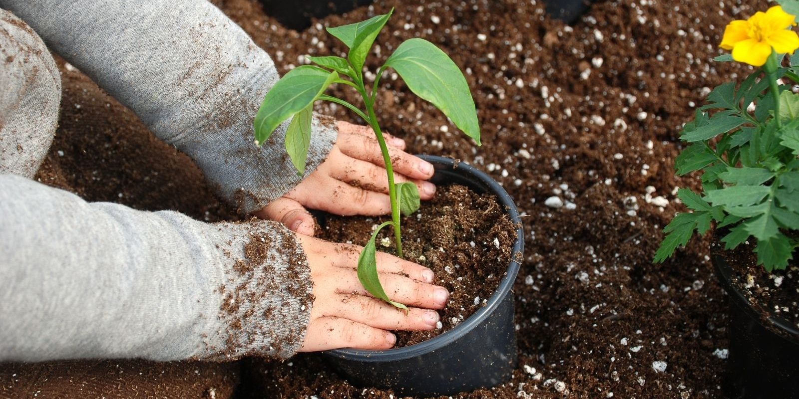 Gardening Good for Children Child in gardening activity - Cannon Hill Early Learning Centre