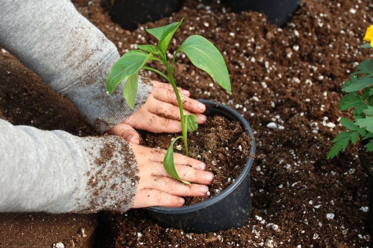 Gardening Good for Children Child in gardening activity - Cannon Hill Early Learning Centre