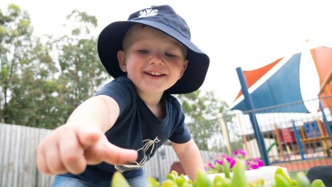 Kids-Asking-Questions-1024×576 A Kid Reaching to Touch a Plant Outside - Importance of Encouraging Child to Ask Questions - Early Learning Centre