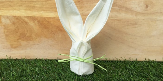 Easter Bunny Napkins