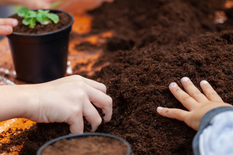 How Veggie Patches Improve Children’s Play