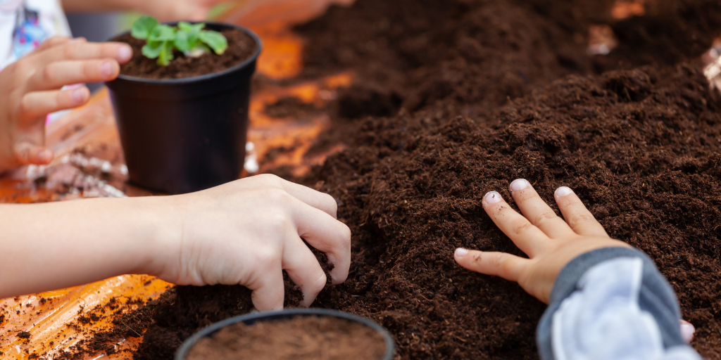 How Veggie Patches Improve Children’s Play